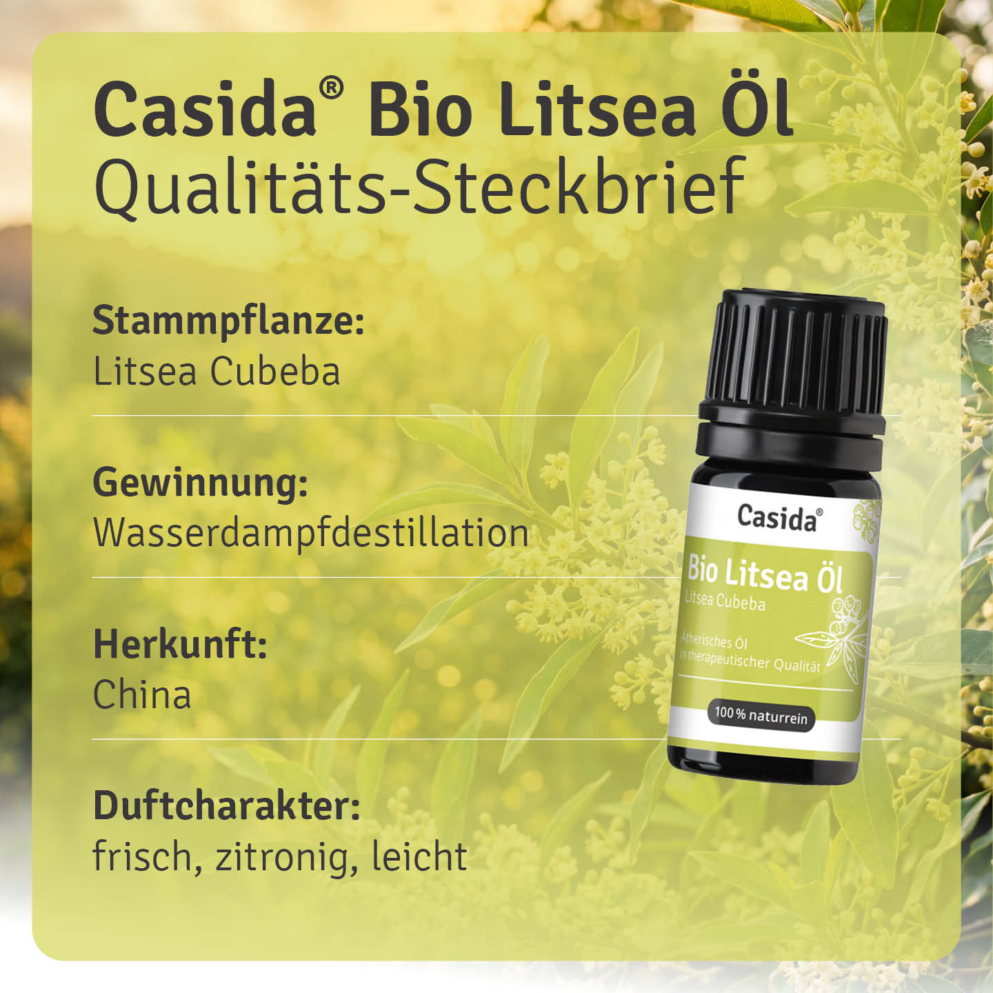 casida-aromatherapie-bio-litsea-cubeba-therisches-l-fokus image 3