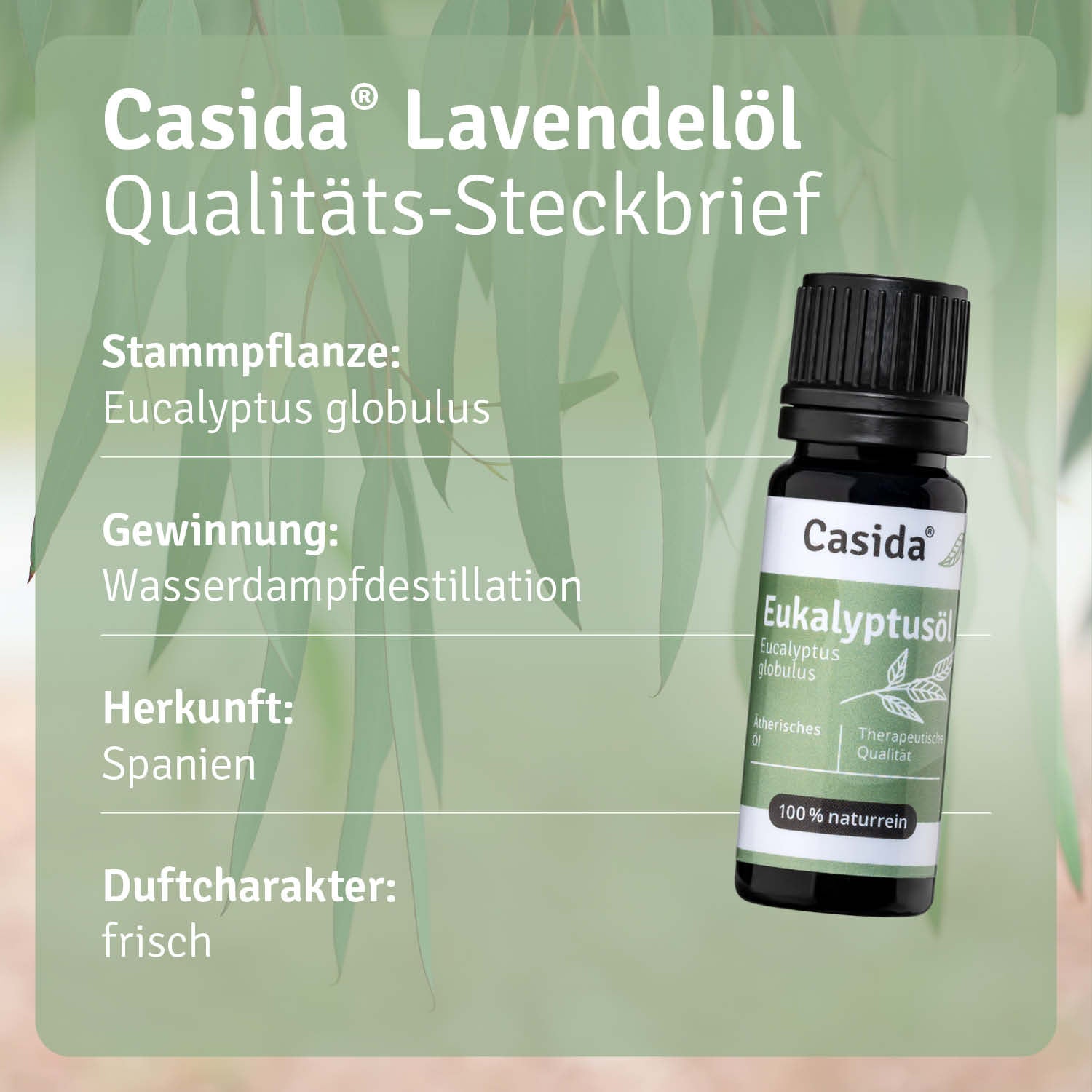 casida-eukalyptus-l-therisches-l-erfrischend image 5
