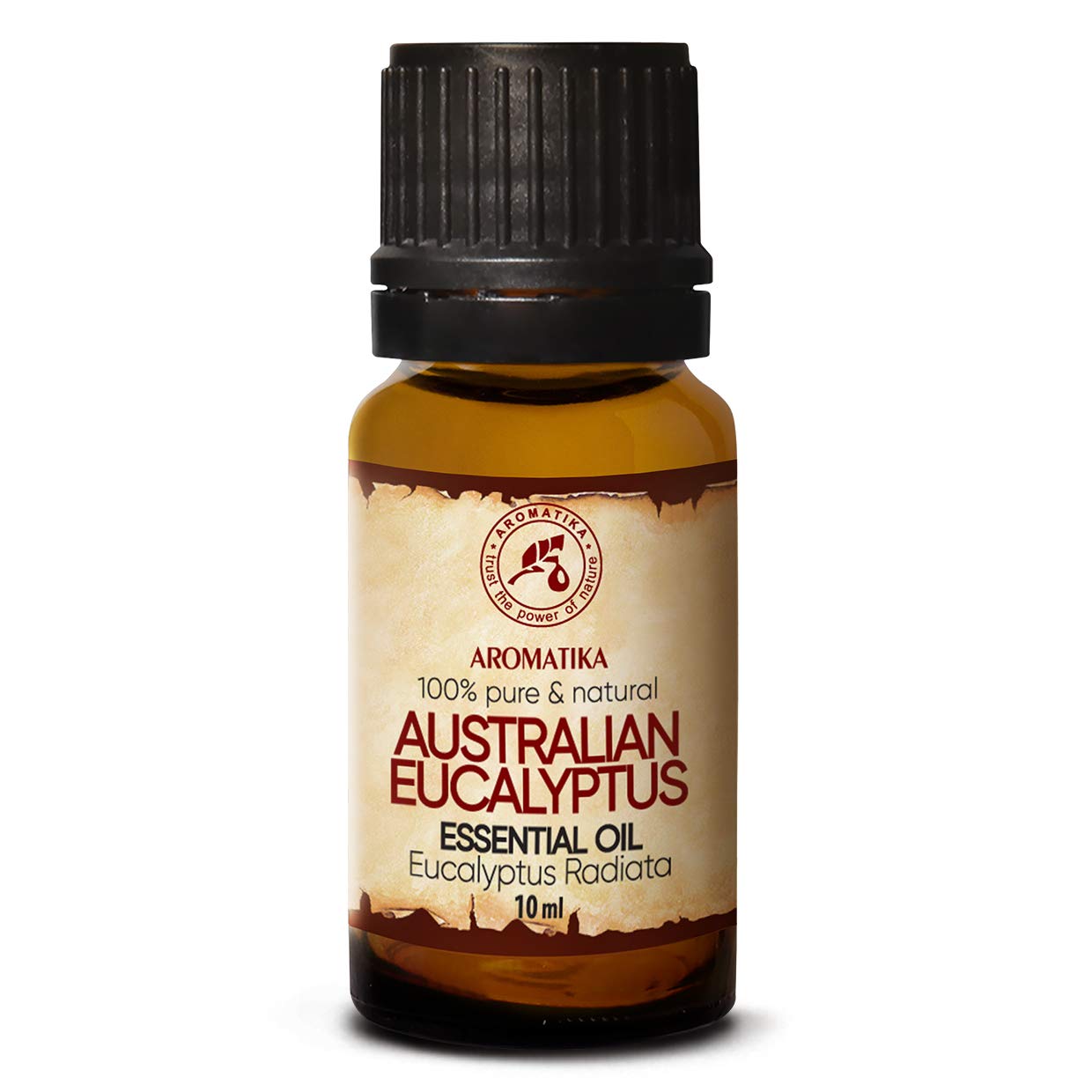 aromatika-eukalyptus-l-radiata-therisches-l-10-ml image 1