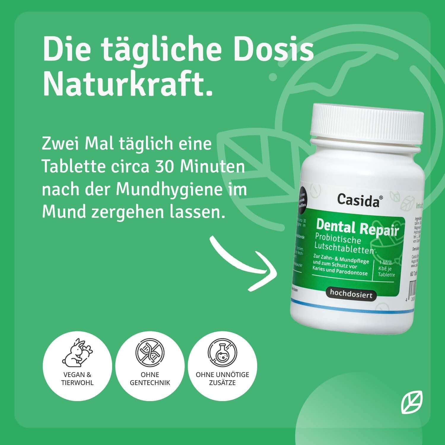 casida-dental-repair-probiotika-lutschtabletten-waldbeere-60-stk image 4