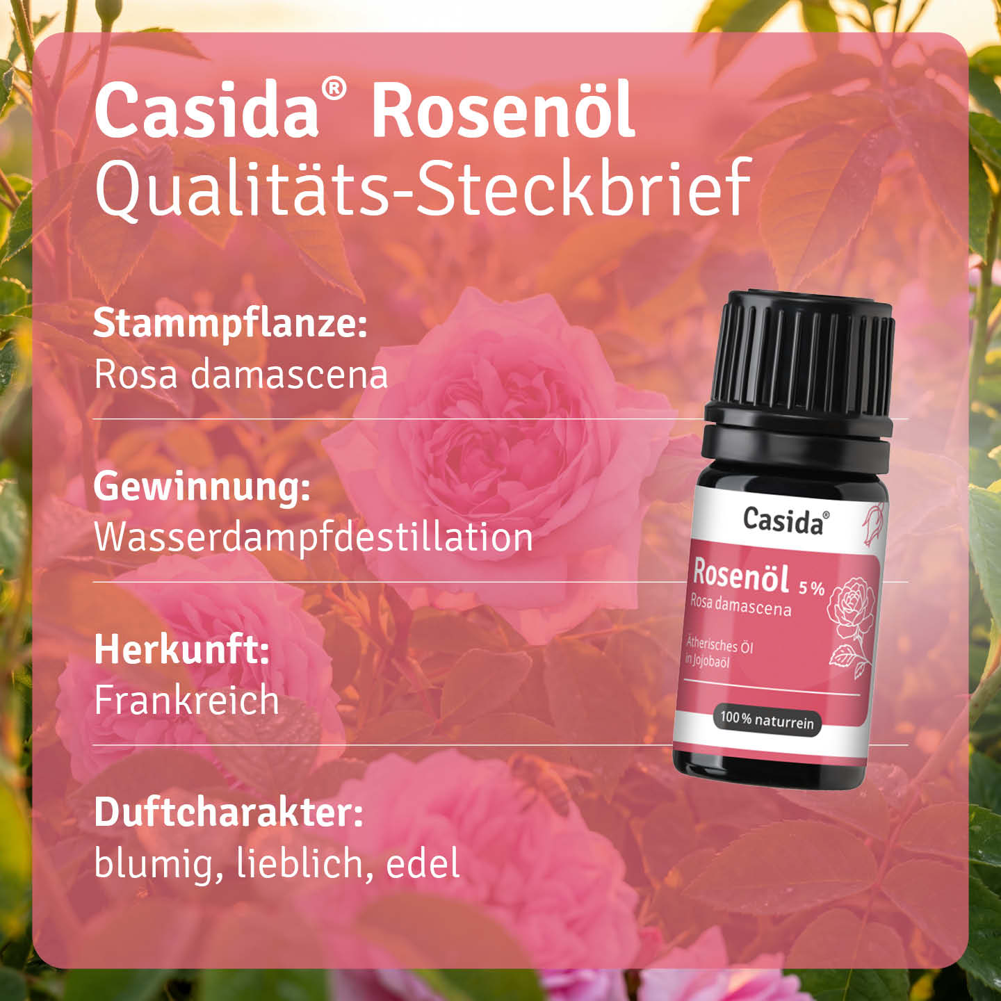 casida-rosen-l-5-therisch-gesichts-l-damaskus-rose image 3