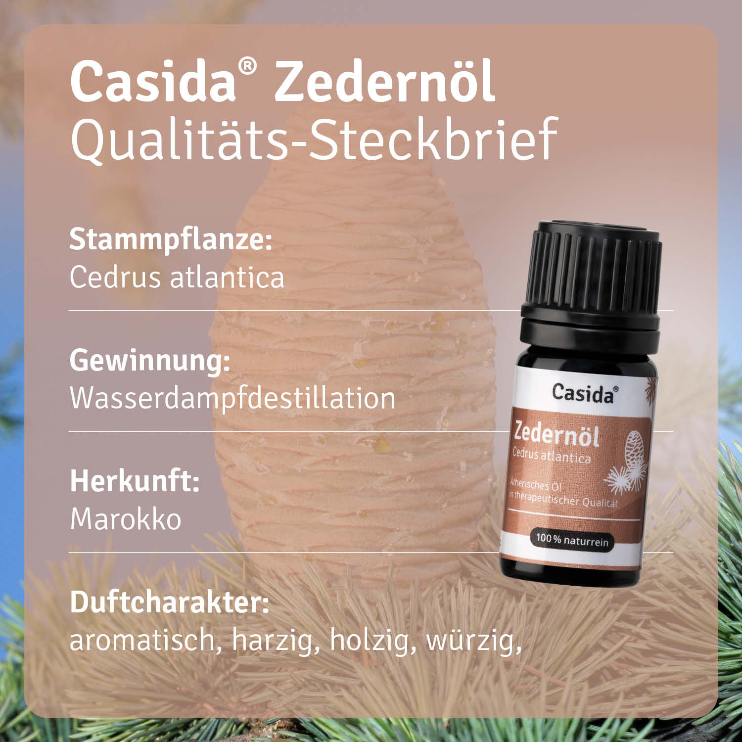 casida-zedern-l-therisches-l-holzig-erdend-violettglas image 8