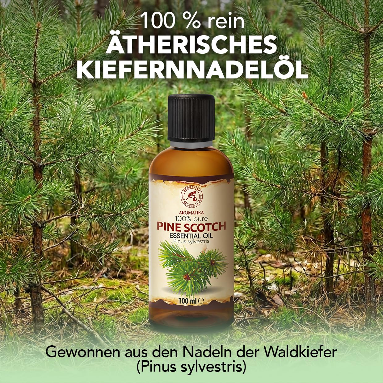 aromatika-essential-oils-kiefernnadel-l-100-ml-waldduft image 2