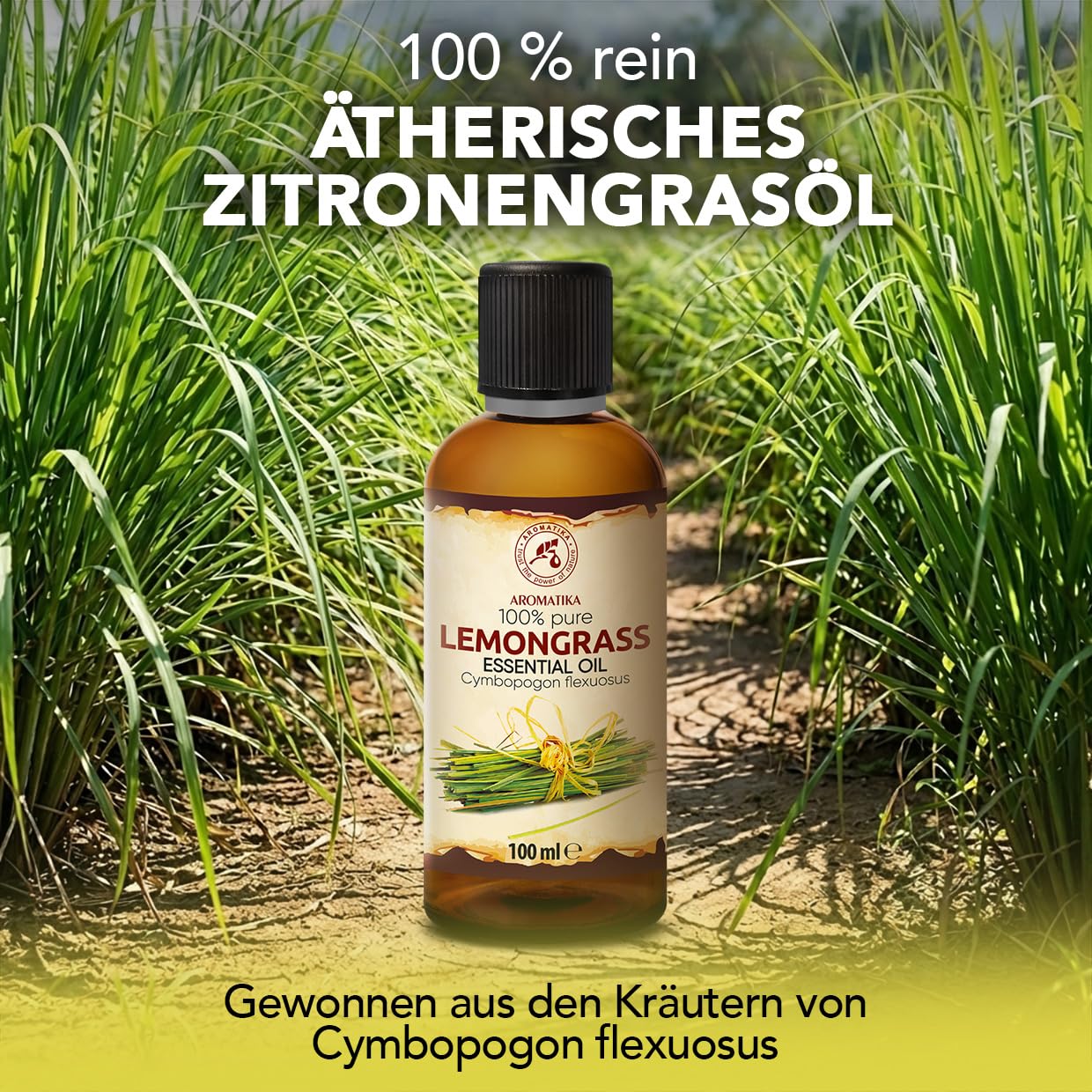 aromatika-zitronengras-l-therisches-l-2x100-ml-frisch image 2
