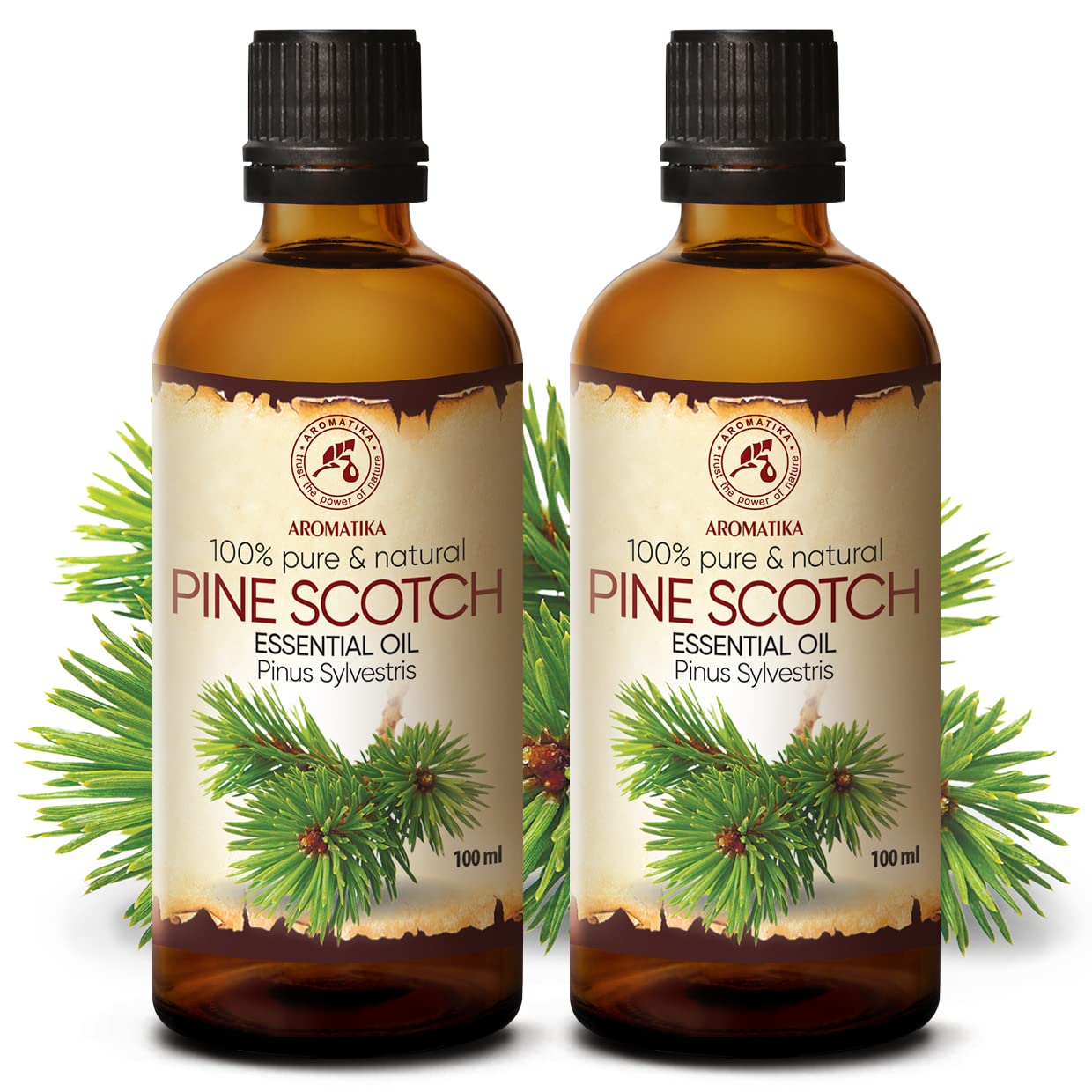 aromatika-pine-scotch-kiefernnadel-l-2x100-ml-set image 2