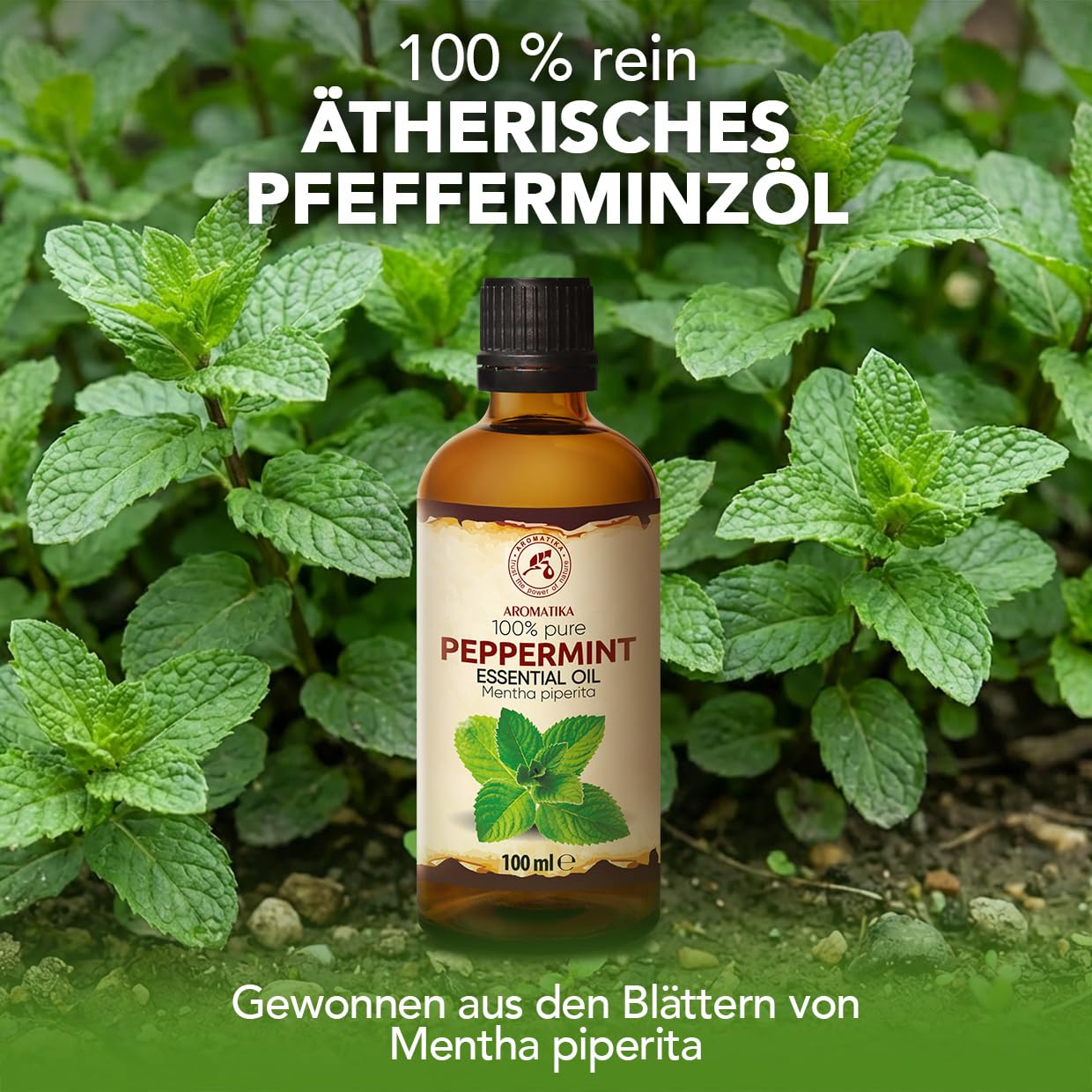 aromatika-pfefferminz-l-therisches-l-2x100-ml image 2