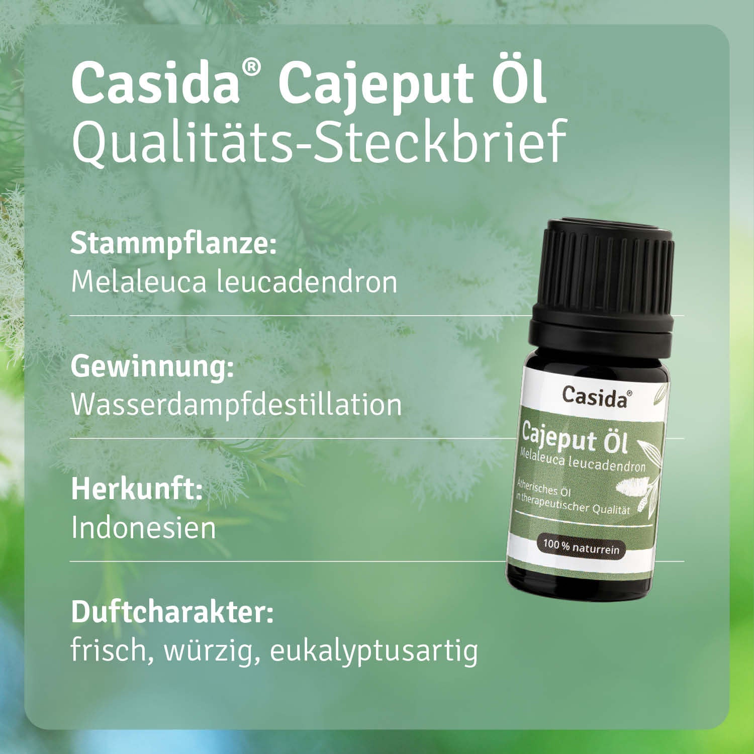 casida-aromatherapie-cajeput-therisches-l-belebend image 3