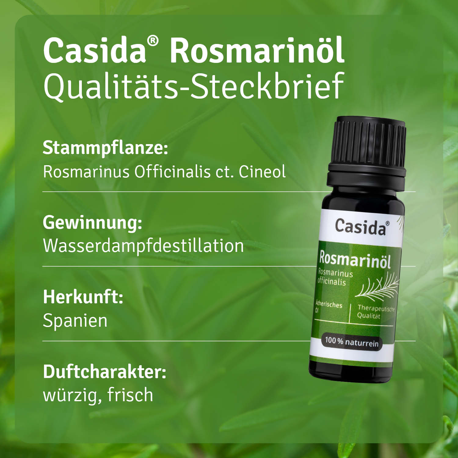 casida-rosmarin-l-therisches-l-haar-l-naturrein image 3