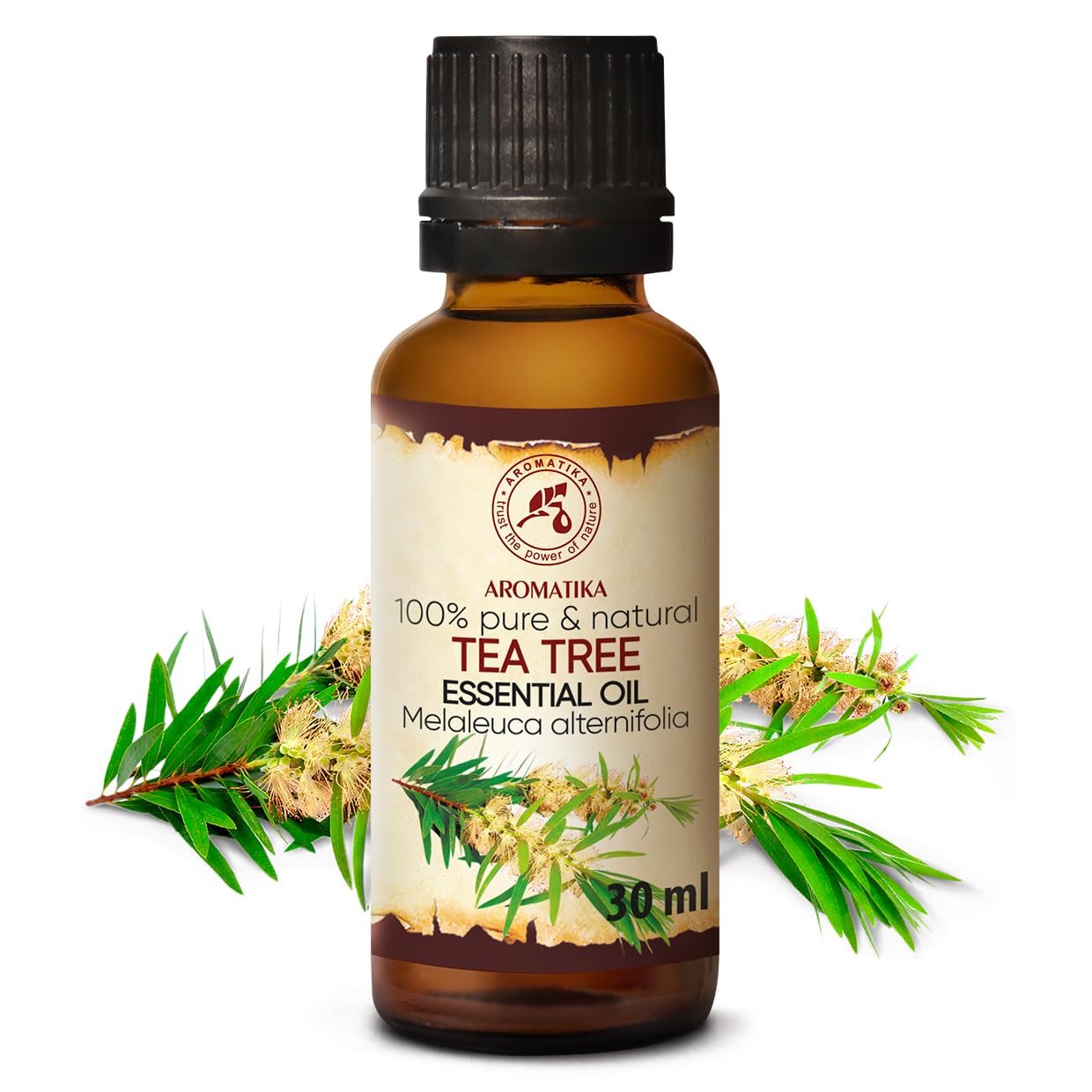 aromatika-teebaum-therisches-l-30-ml-melaleuca-frisch image 2