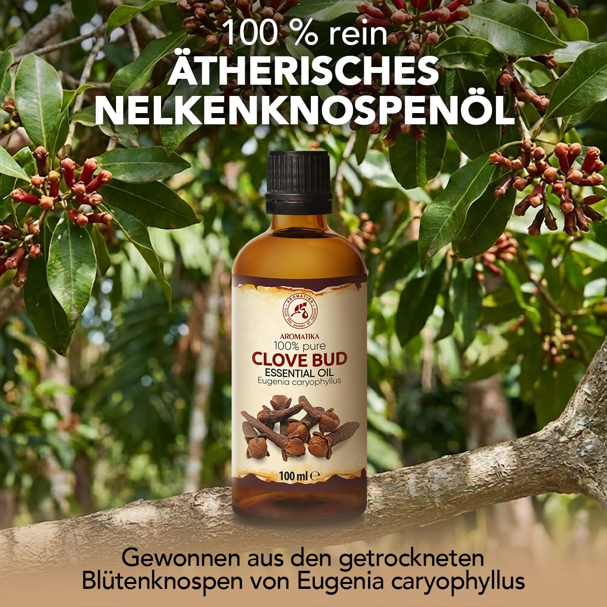 aromatika-nelkenknospen-l-therisches-l-100-ml-w-rzig image 2