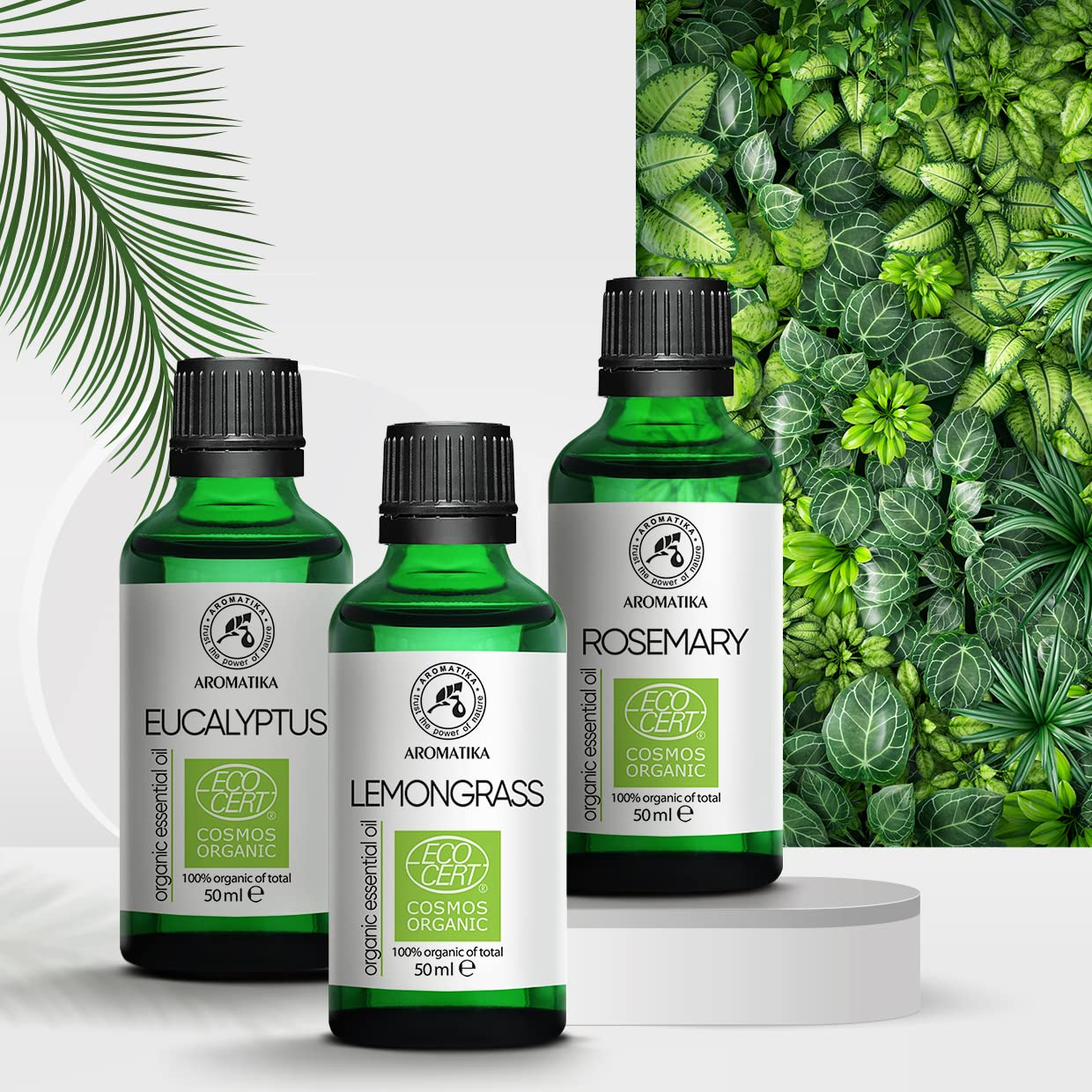aromatika-zitronengras-l-bio-therisches-l-50-ml image 8