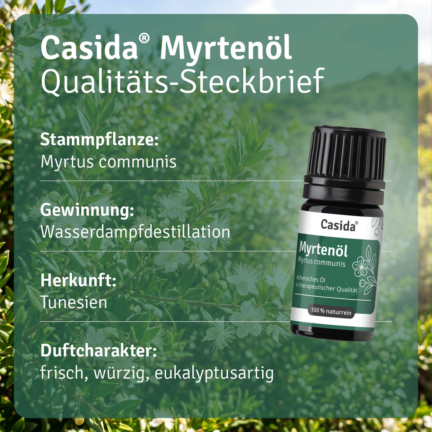 casida-myrten-l-therisches-l-naturrein image 3