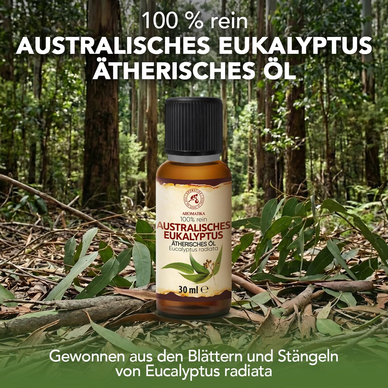 aromatika-essential-eukalyptus-therisches-l-30-ml-radiata image 2