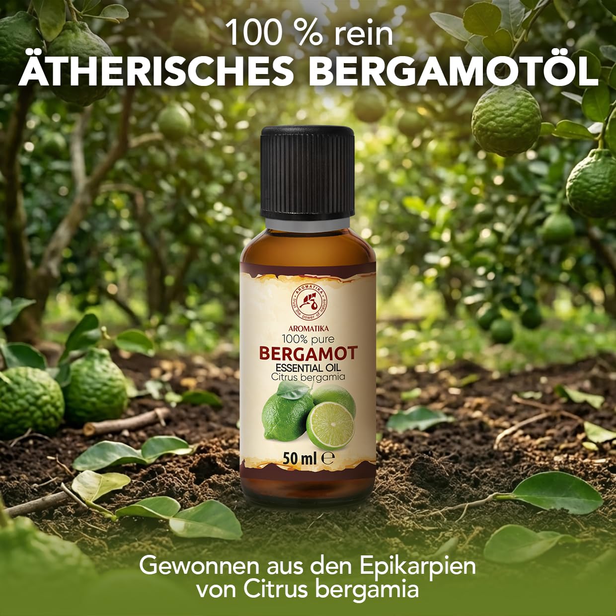 aromatika-bergamot-l-therisches-l-50-ml-zitrusduft image 2