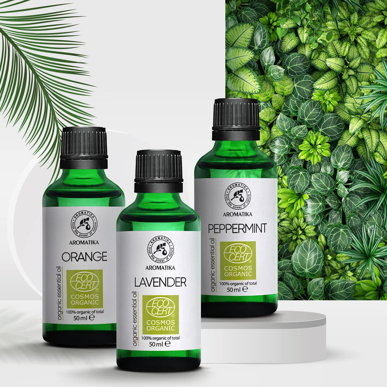 aromatika-essential-oils-lavendel-l-bio-50-ml-naturrein image 7