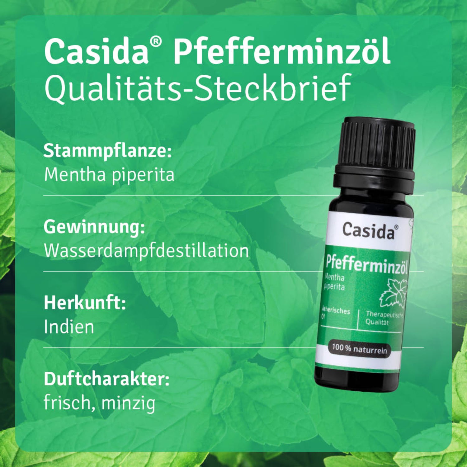 casida-aromatherapie-pfefferminz-l-therisches-l-naturrein image 3