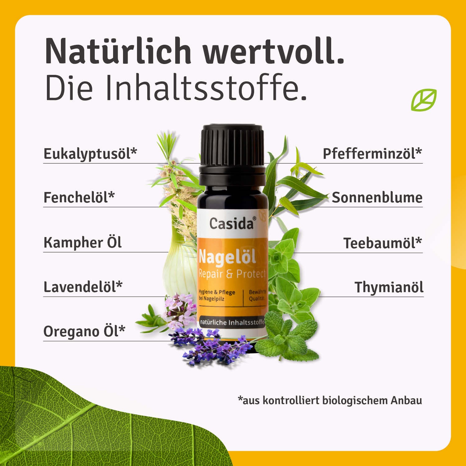 casida-nagel-l-repair-protect-teebaum-pflanzlich image 3