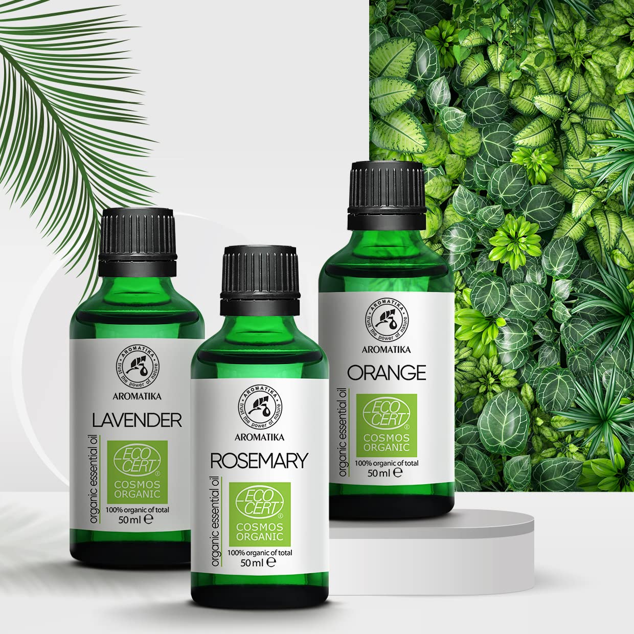 aromatika-bio-rosmarin-l-therisches-l-50-ml-rosmarinus image 8