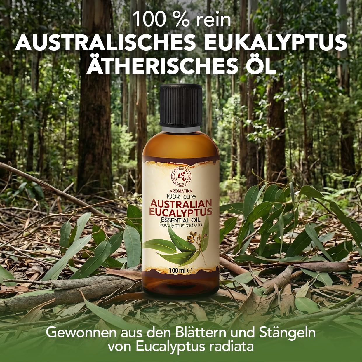 aromatika-australisches-eukalyptus-l-100-ml-naturrein image 2