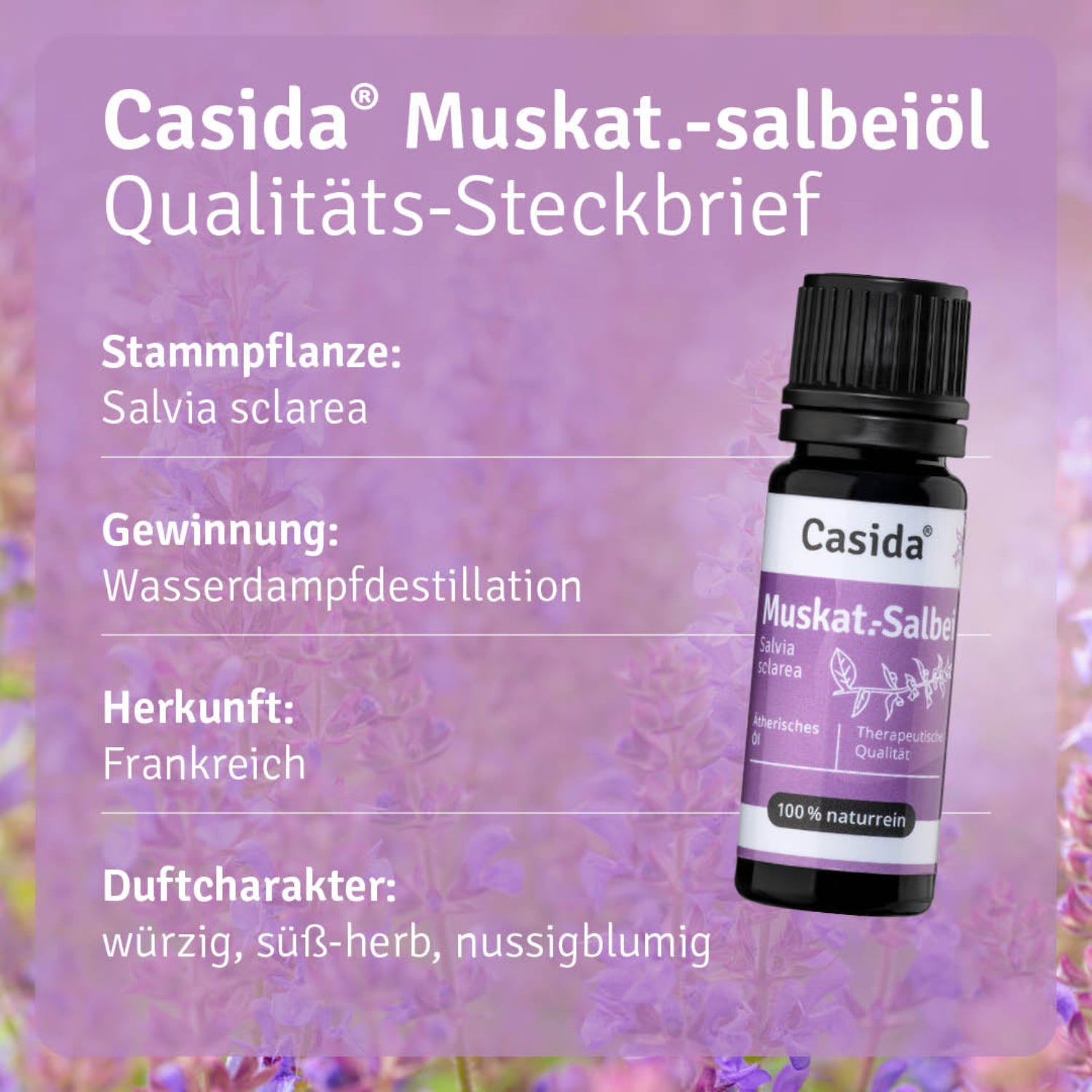casida-muskatellersalbei-l-clary-sage-therisches-l-naturrein image 3