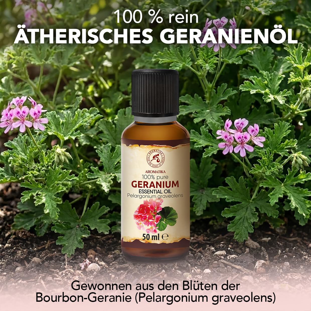 aromatika-geranien-l-therisches-l-50ml-blumig image 2