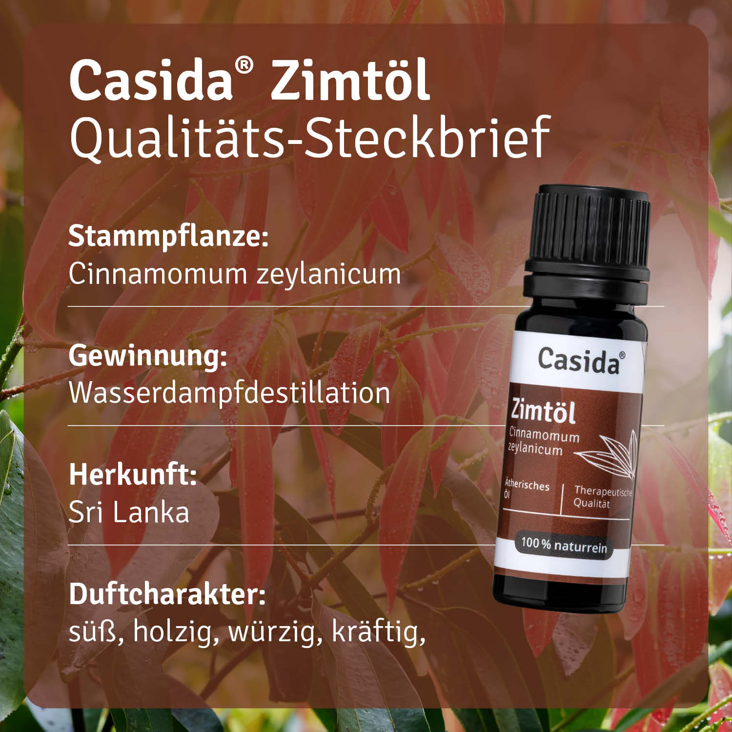 casida-zimt-l-therisches-l-w-rmend-w-rzig-diffuser image 3