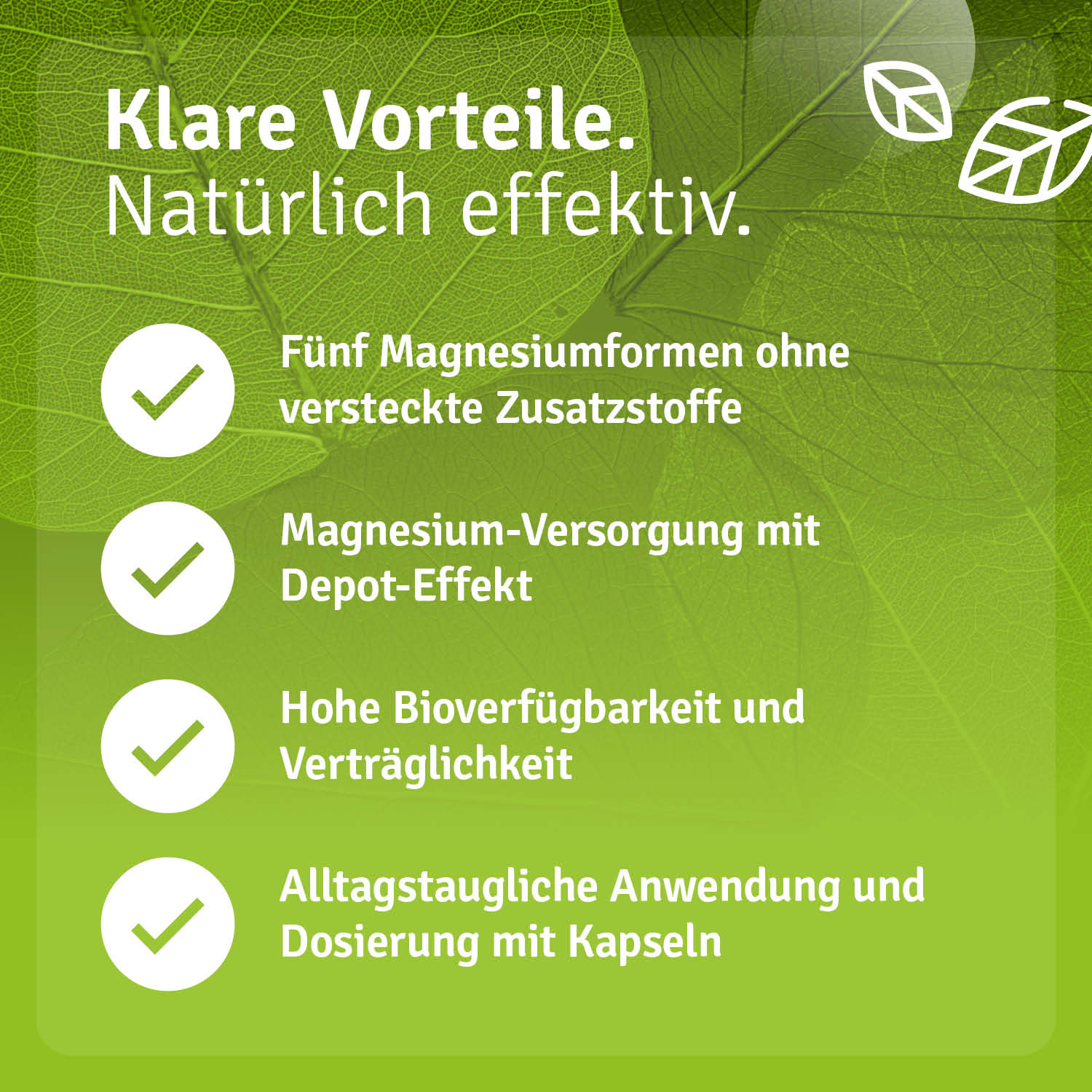 casida-magnesium-komplex-hochdosiert-kapseln-vegan image 5
