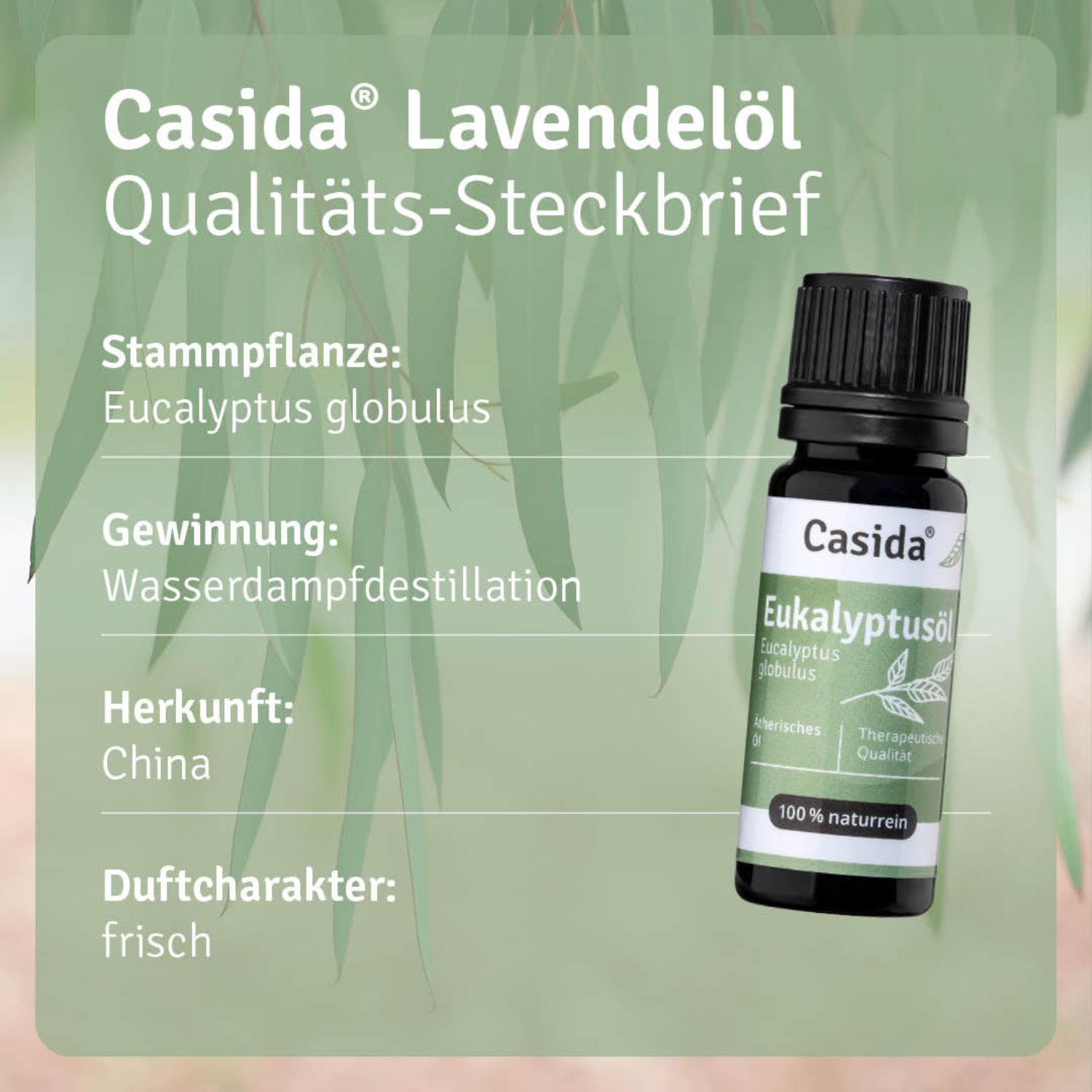 casida-eukalyptus-l-therisches-l-frisch-befreiend-violettglas image 3
