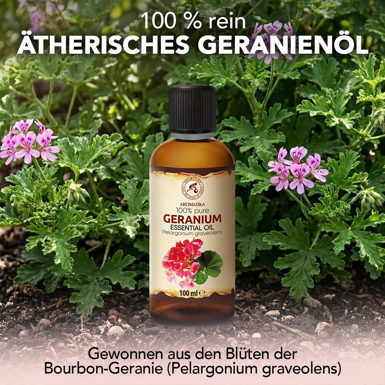 aromatika-geranien-l-therisches-l-100ml-bourbon image 2