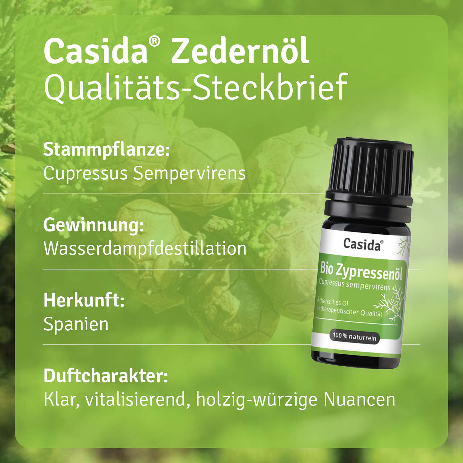 casida-bio-zypressen-l-therisches-l-kl-rend-violettglas image 3