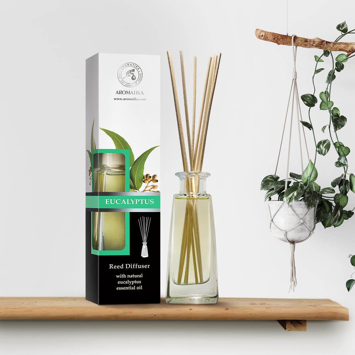 aromatika-reed-diffuser-raumduft-eukalyptus-100-ml-st-bchen image 6
